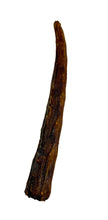 Load image into Gallery viewer, Long, brown, X-LARGE AUSSIE ROO TAILS High Protein on a white background