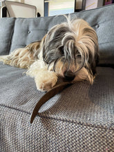 Load image into Gallery viewer, Dog sitting on couch chewing a Goat Horn from My Happy Pet Online