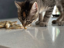 Load image into Gallery viewer, AUSSIE SARDINES