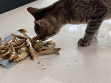 Load image into Gallery viewer, AUSSIE SARDINES