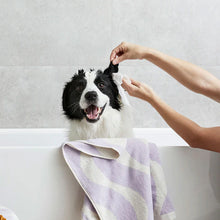 Load image into Gallery viewer, Dog being bathed and having ears cleaned with a probiotic wipe. There is a striped towel draped over the tub