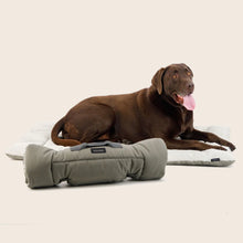 Load image into Gallery viewer, ROLL & GO OUTDOOR TRAVEL MAT