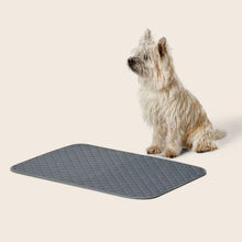Load image into Gallery viewer, WASHABLE PEE PADS 2 PACK