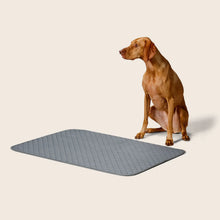 Load image into Gallery viewer, WASHABLE PEE PADS 2 PACK