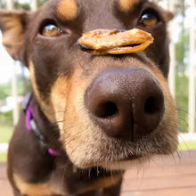 Load image into Gallery viewer, GETTIN' LIPPY WIT IT - Green Lipped Mussels