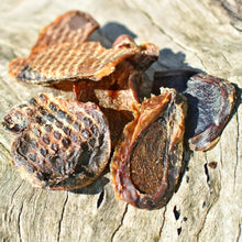 Load image into Gallery viewer, NUTTY PROFESSOR - Bull Testicles