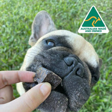 Load image into Gallery viewer, Dog enjoying ROO BIX QUBES - Kangaroo Jerky treat with Australian Made logo.