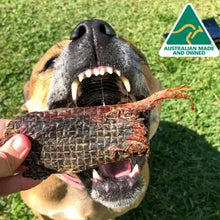 Load image into Gallery viewer, STOP! JERKY TIME! - Kangaroo being enjoyed by a happy dog outdoors, showcasing Australian made jerky.