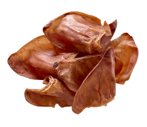 Aussie Pig Ears - Large - My Happy Pet