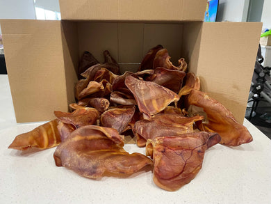 30 AUSTRALIAN PIG EARS