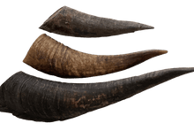 Load image into Gallery viewer, Aussie Goat Horns Dog Treat - My Happy Pet Online
