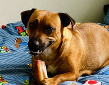 Load image into Gallery viewer, GOAT MILK INFUSED BEEF MARROWZ
