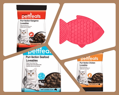 CAT LOVERS SLOW FEEDER KIT