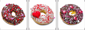 PAWFECT DOGGY DONUTS