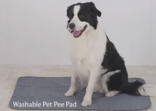Load image into Gallery viewer, WASHABLE PEE PADS 2 PACK
