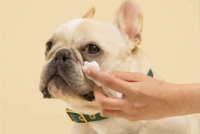 Load image into Gallery viewer, Person cleaning a dog's eye with a probiotic eye wipe on a beige background
