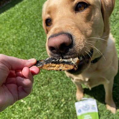 MAKE IT SNAPPY - Crocodile Jerky