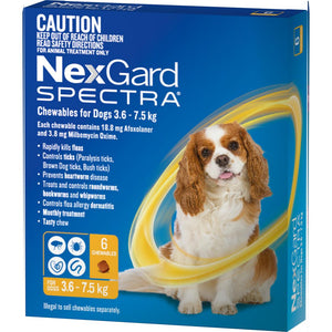 NexGard Spectra chewables for dogs 3.6 - 7.5kg available in pack of 6 from MY HAPPY PET ONLINE $139.95 with FREE SHIPPING