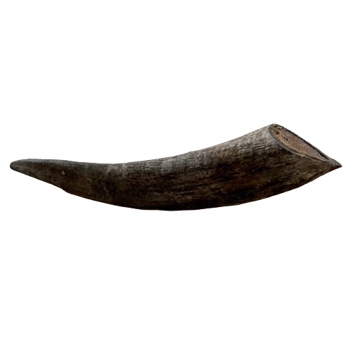 Aussie Goat Horn with Marrow Dog Treat - My Happy Pet Online