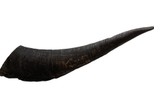 Load image into Gallery viewer, Aussie Goat Horns Dog Treat - My Happy Pet Online
